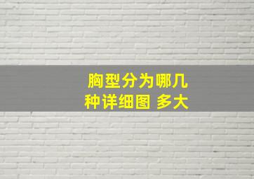 胸型分为哪几种详细图 多大